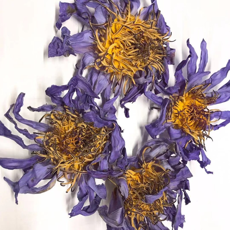 Blue Lotus Tea Supplier - Nymphaea Coerulea Flower