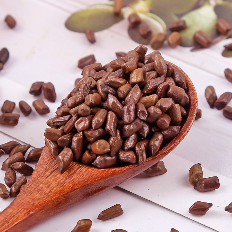 Cassia Seed Factory - Jue Ming Zi Extract