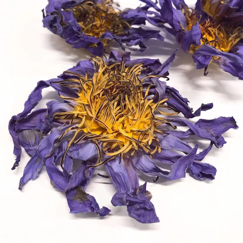 Blue Lotus Flower Supplier - Dried Bulk Herbal Tea