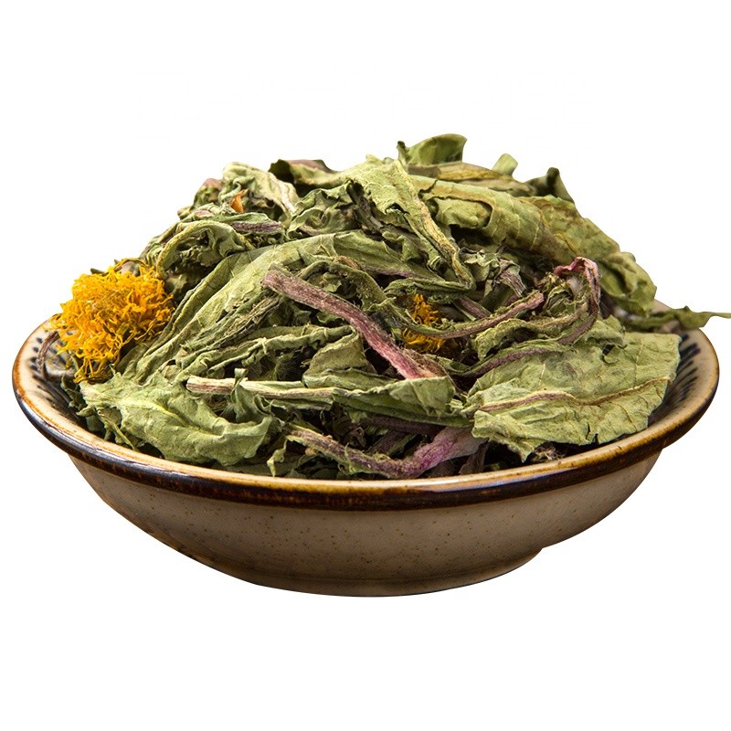 Dandelion Tea Supplier - Taraxacum Leaf Root