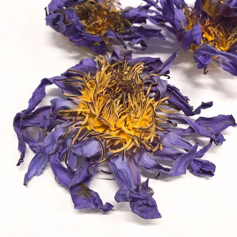 Blue Lotus Tea Factory - EU Standard Smokable