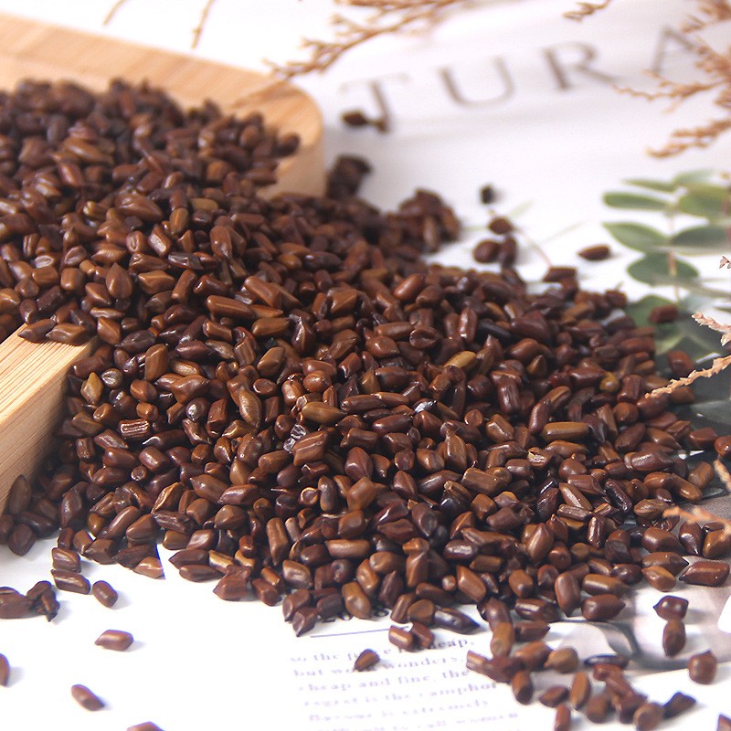 Cassia Seed Factory - Jue Ming Zi Extract