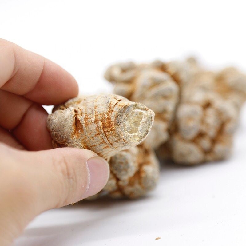 Panax Notoginseng Tea Supplier - Sanchi Root Dried