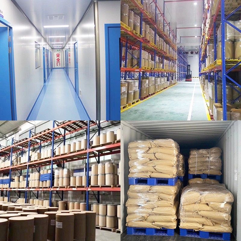 Chicory Powder Manufacturer - Coffee Grass Extract