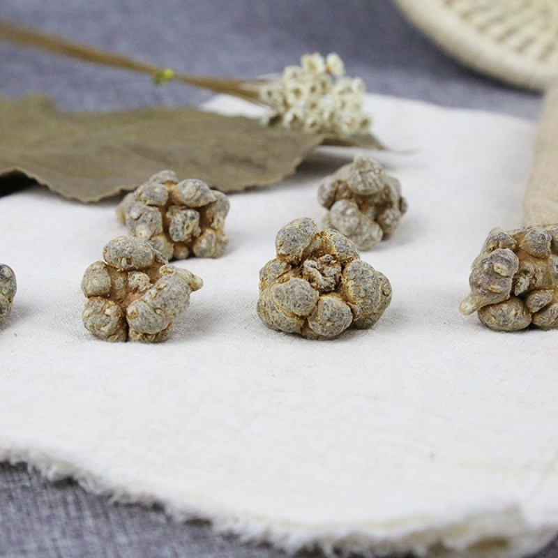 Panax Notoginseng Tea Supplier - Sanchi Root Dried