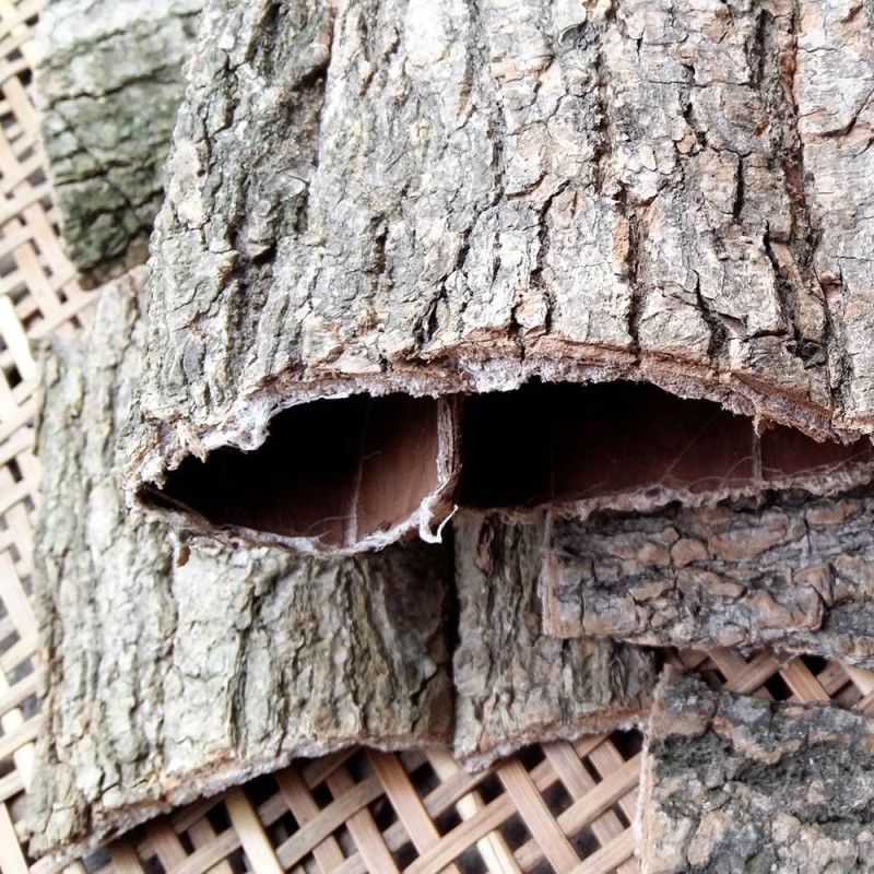 Chinese Herb Supplier - Wholesale Tree Bark Medicine