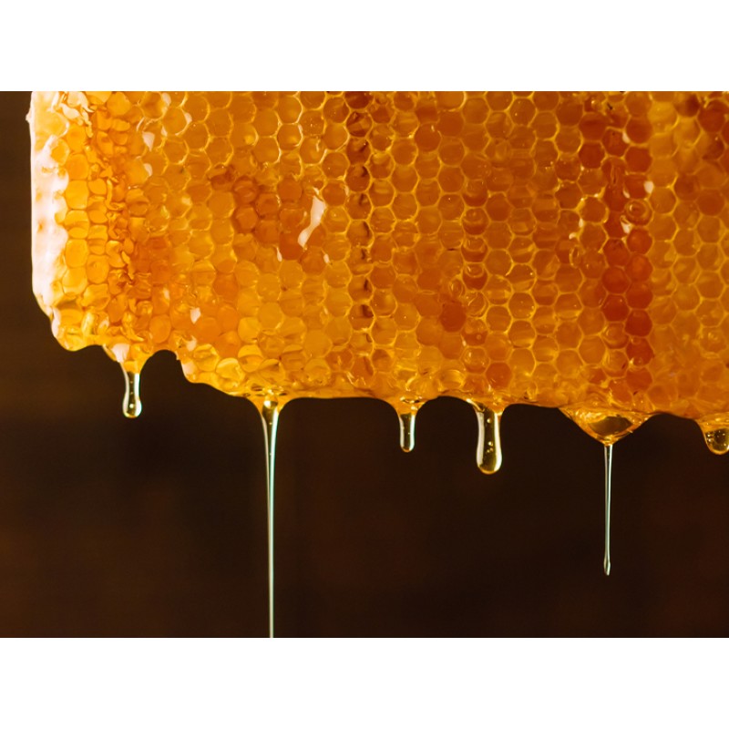 Pure Bee Honey Manufacturer - OEM Genuine Frozen