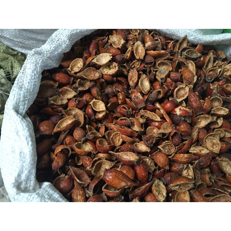 Cherokee Rose Herb Factory - Wholesale Dried Fructus