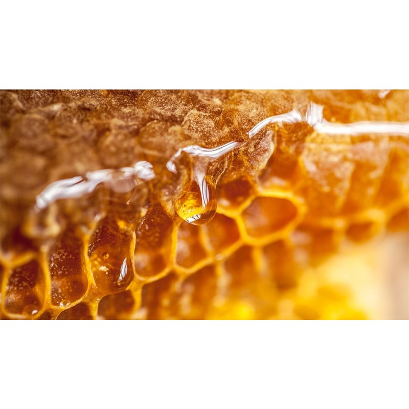Pure Bee Honey Manufacturer - OEM Genuine Frozen