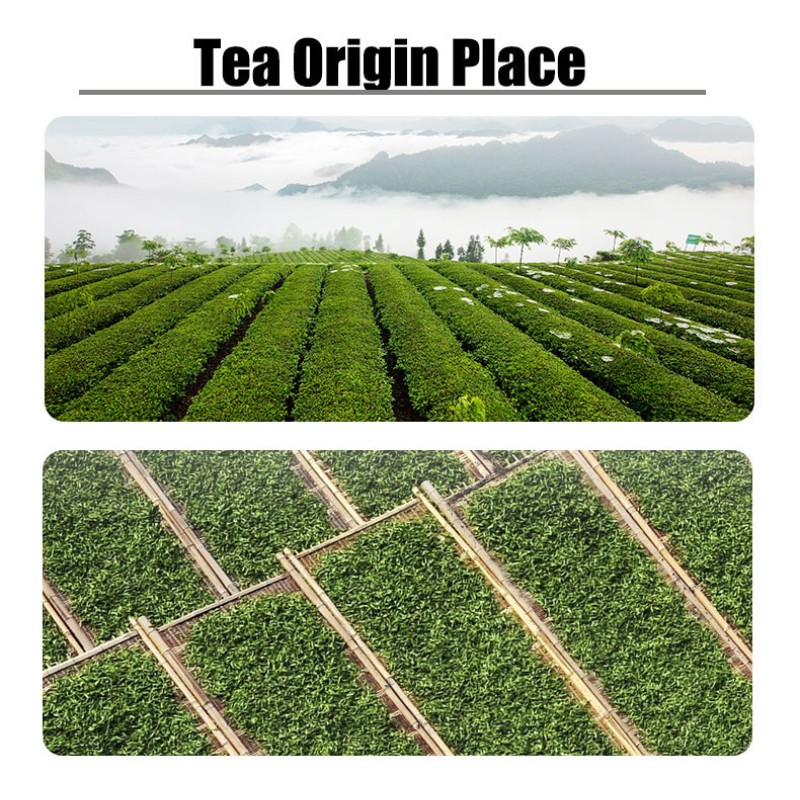 White Christmas Tea Supplier - Organic Orchard Blend