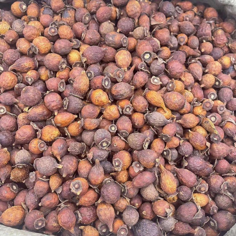 Cherokee Rose Herb Factory - Wholesale Dried Fructus