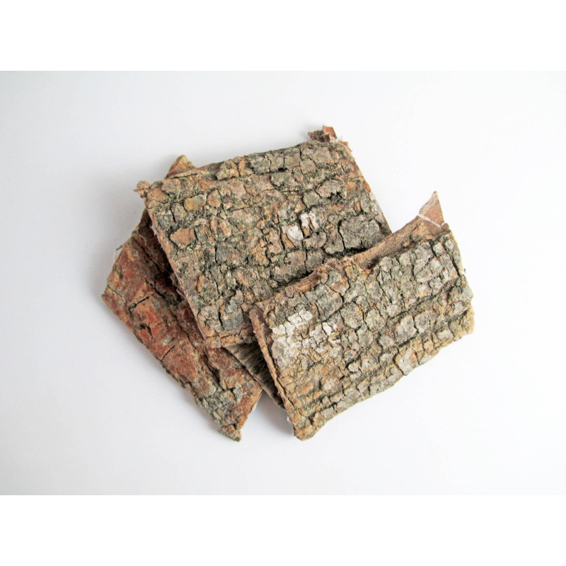 Medicinal Herbs Manufacturer - Natural Dried Eucommia