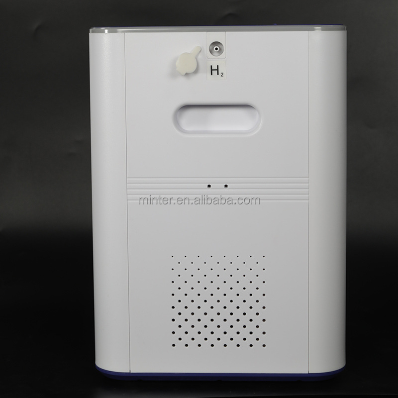 Hydrogen Generator Manufacturer - Portable Clinic Home Use