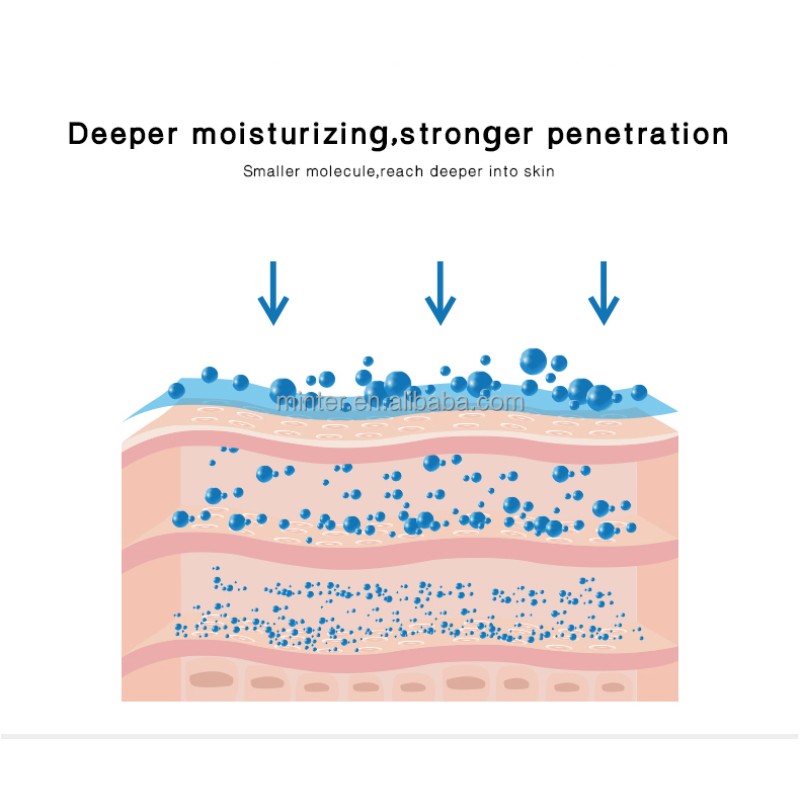 Steam Face Sprayer Factory - Nano Mist Ionic Hydro