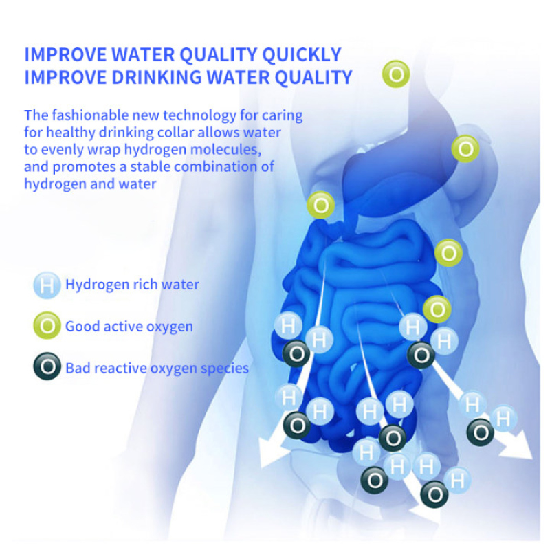 Large Capacity Hydrogen Bottle Manufacturer - 2L Water Electrolysis