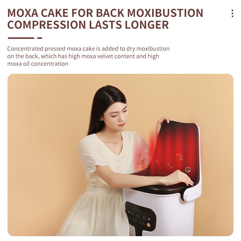 Moxibustion Instrument Factory - Portable Steam Seat