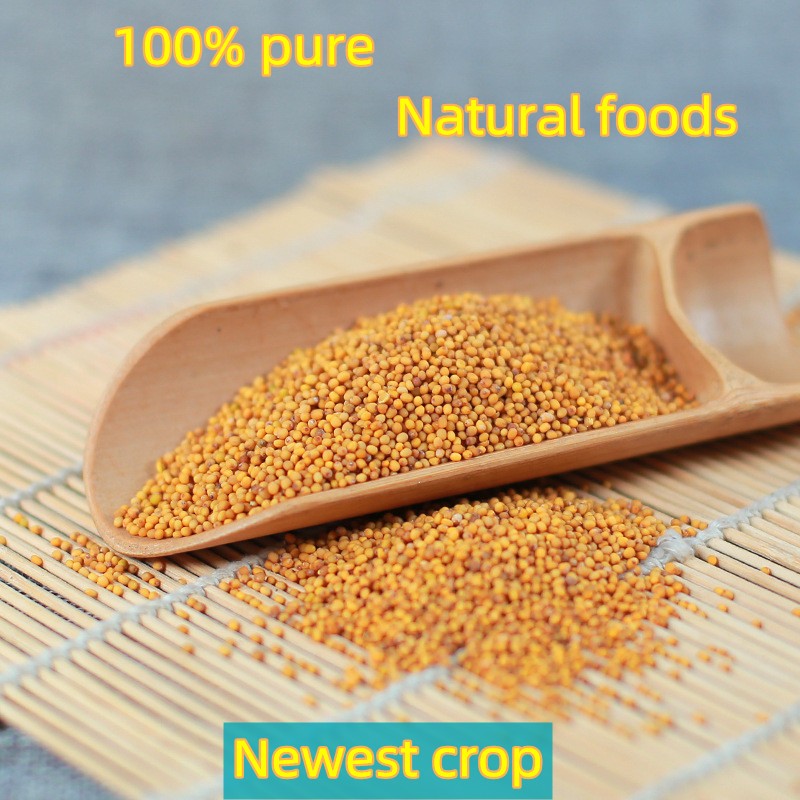 Yellow Mustard Seeds Factory - Single Spices Seasoning