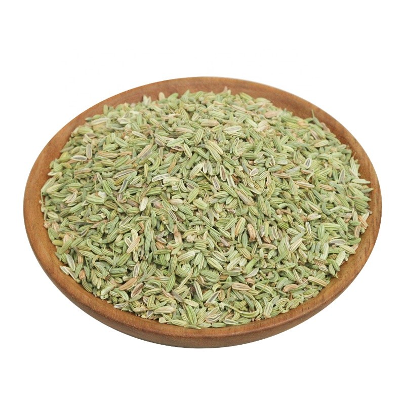 Green Fennel Seeds Supplier - Bulk Single Spices
