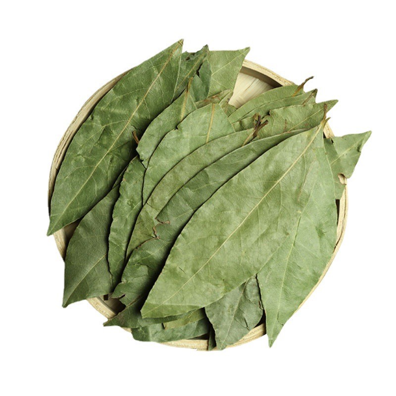 Bay Leaf Manufacturer - Cooking Food Spice