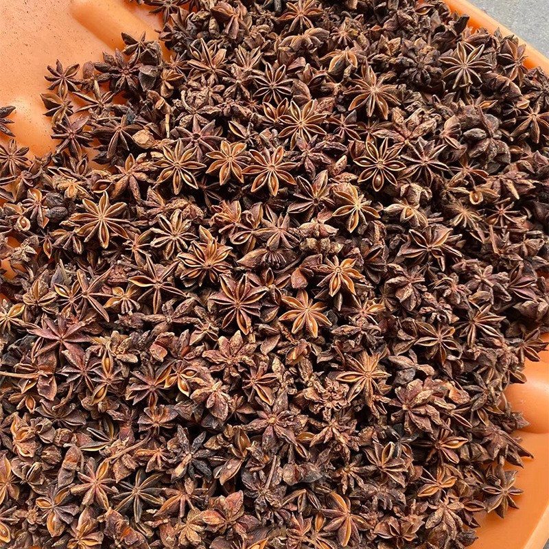 Star Anise Spice Factory - Granule Shape Natural