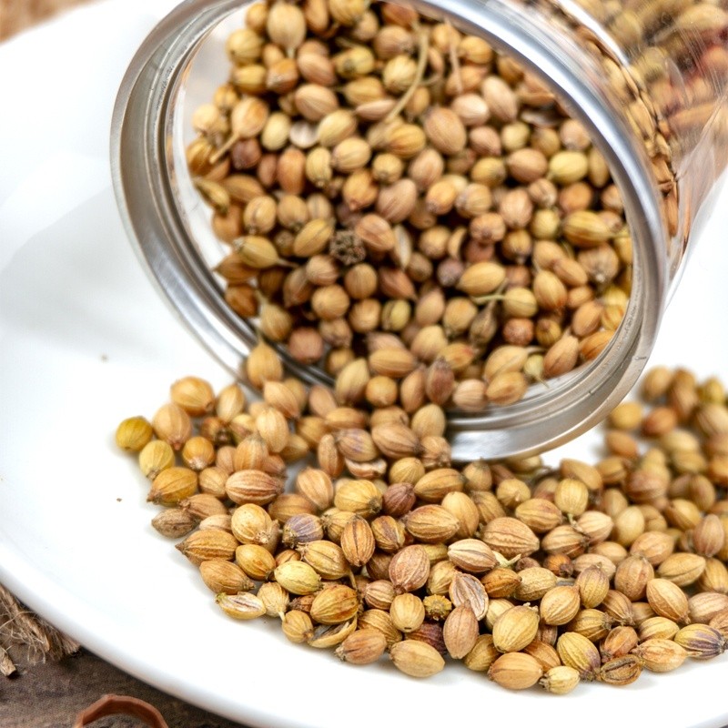 Coriander Seeds Manufacturer - Bulk Natural Herbs