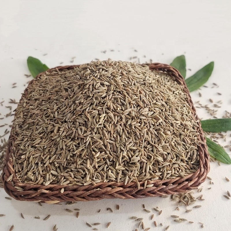 Cumin Seeds Manufacturer - Natural Barbecue Seasoning