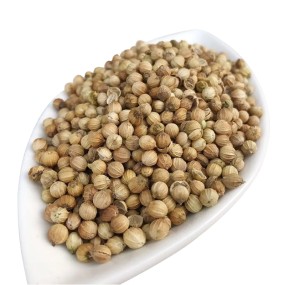 Coriander Seeds Supplier - Indian Premium Quality