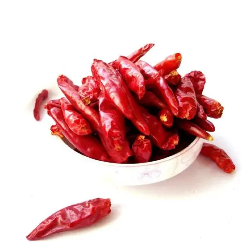 Dried Chili Pepper Manufacturer - Hot Pot Quality