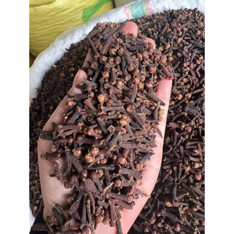Indonesia Clove Factory - Hot Selling Single Spice