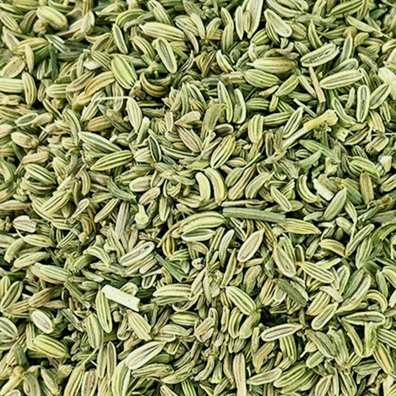 Fennel Seeds Factory - Wholesale Natural Spice