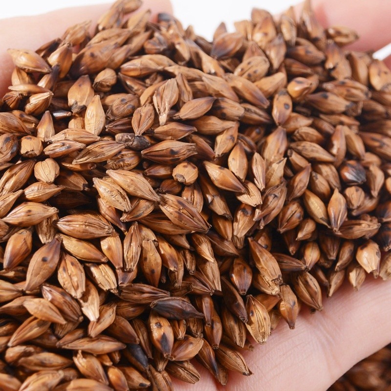 Barley Tea Supplier - Cheap Organic Roasted