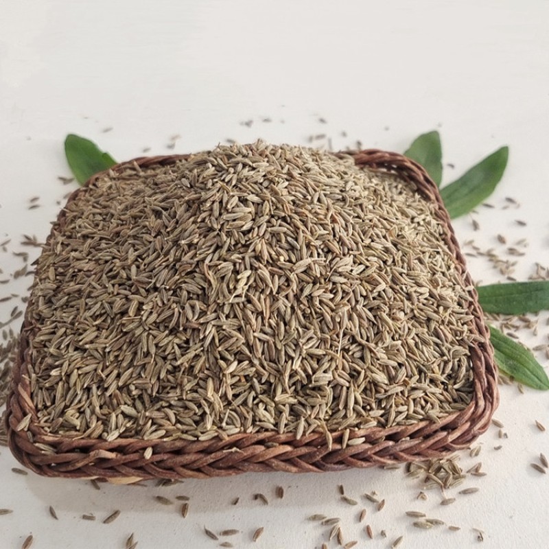 Black Cumin Seeds Factory - Grade A Single Spice