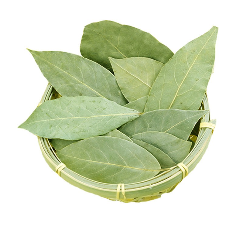 Bay Leaf Supplier - Wholesale Seasoning Spice