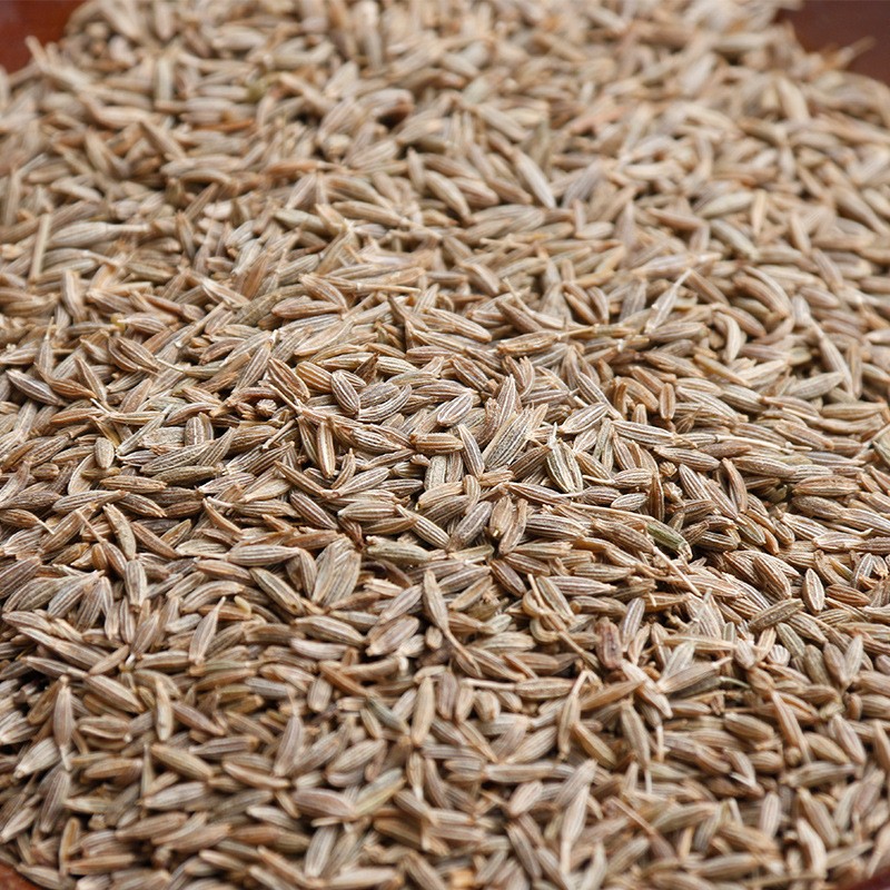 Dried Cumin Manufacturer - Single Spices Herbs