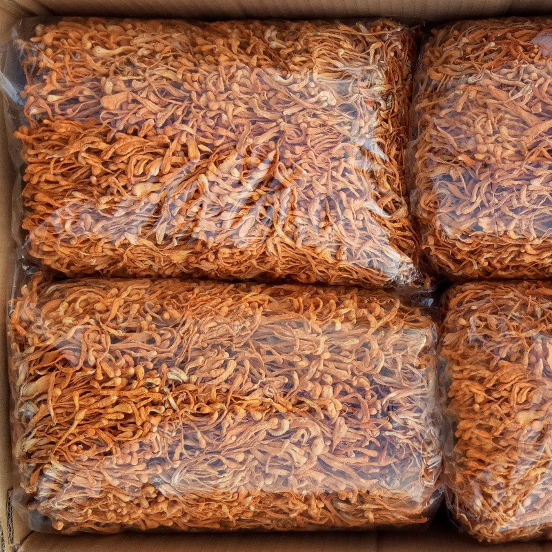Cordyceps Militaris Supplier - Chinese Mushroom Quality