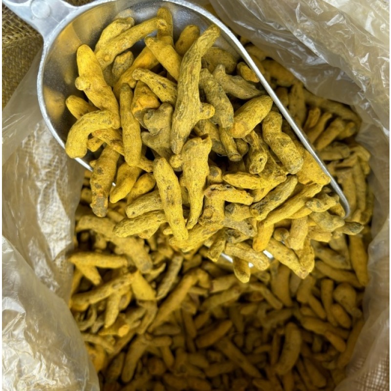 Organic Turmeric Factory - Bulk Wholesale Natural