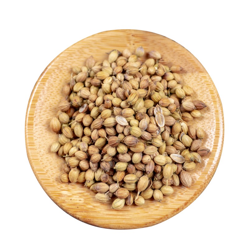 Coriander Seed Supplier - Factory Price Spice