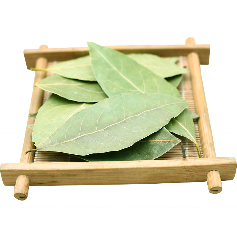 Laurel Leaves Supplier - Nature Color Single Spice