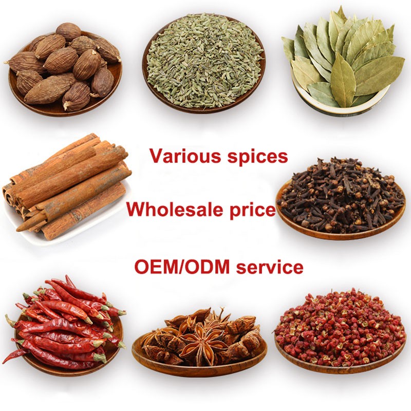 Dried Star Anise Supplier - High Quality Spice