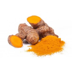 Turmeric Powder Manufacturer - Natural Barbecue Spice