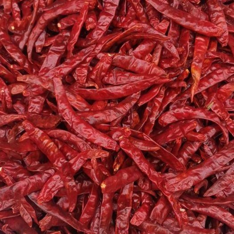 Red Pepper Factory - India Dried Spicy
