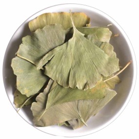Ginkgo Leaves Supplier - Bulk Chinese Herbs