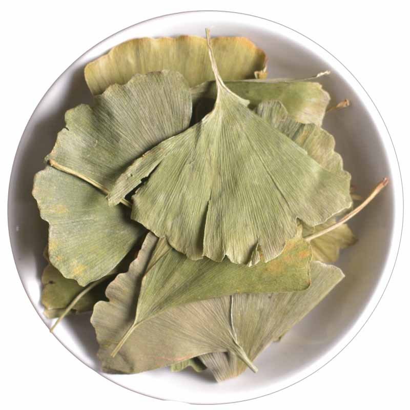Ginkgo Leaves Supplier - Bulk Chinese Herbs