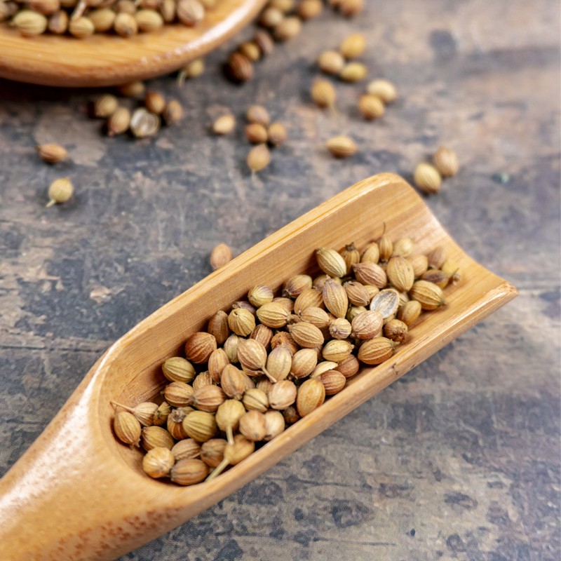Coriander Seeds Manufacturer - Organic Spices Seasoning