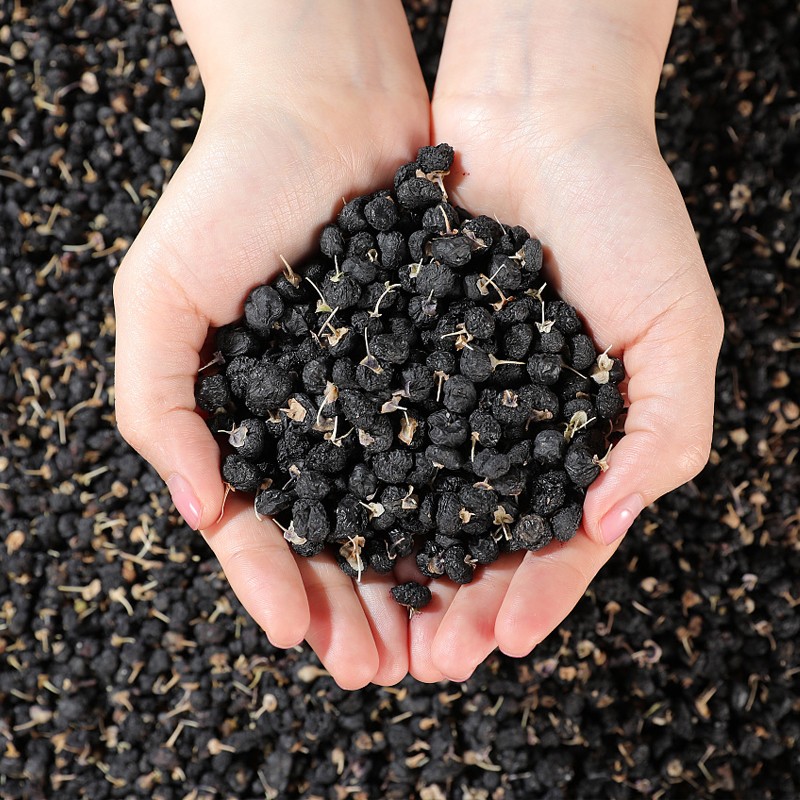 Black Goji Berry Manufacturer - Lycium Ruthenicum Nutrition