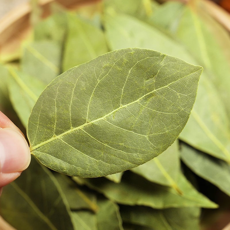 Bay Leaves Supplier - Wholesale Food Spice
