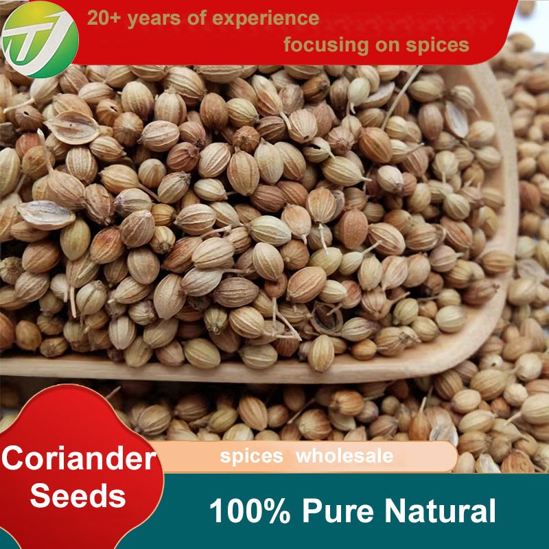 Cilantro Seeds Manufacturer - Wholesale Natural Spice
