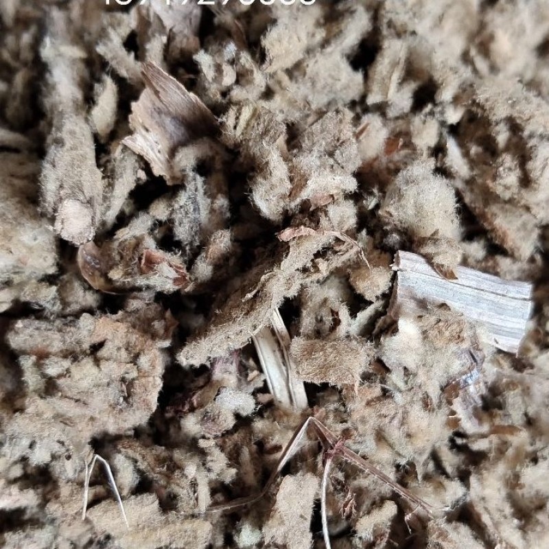 Mullein Leaf Supplier - Natural Whole Dried Herb