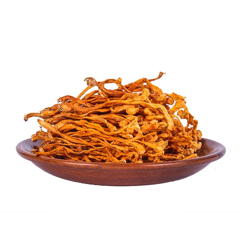 Cordyceps Militaris Supplier - Chinese Mushroom Quality