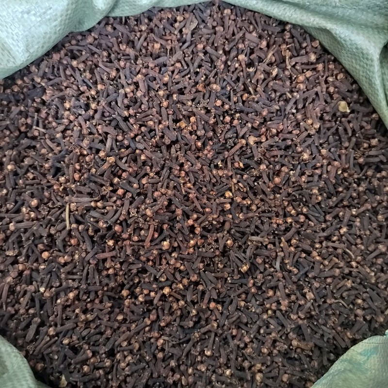 Premium Cloves Manufacturer - China Wholesale Spice